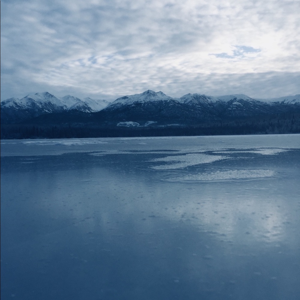 Meet your Posher, Reese